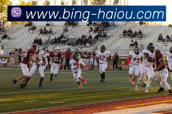 多媒体互动体验