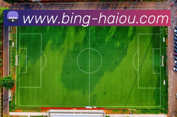 海鸥体育APP 体育赛事宣传图